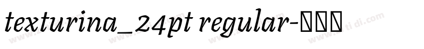 texturina_24pt regular字体转换 texturina_24pt regular字体转换